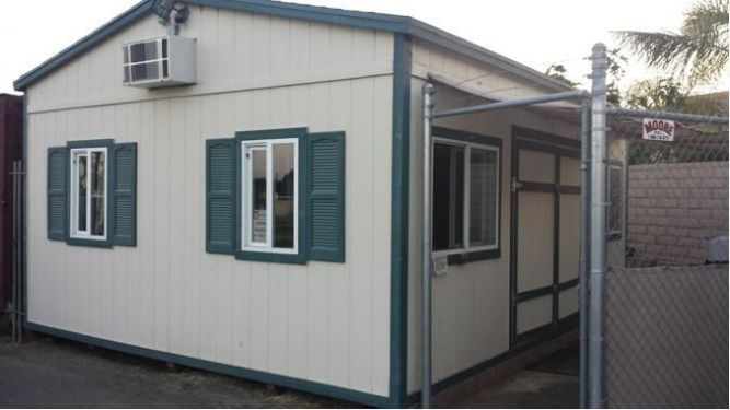 Lucky Bunny Rabbit Rescue