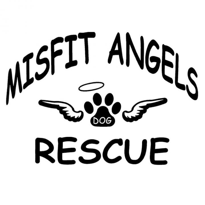 Misfit Angels Dog Rescue