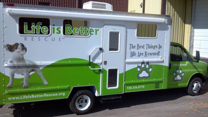 Life is Better Rescue, Inc.