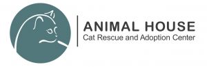 Animal House Cat Rescue and Adoption Center