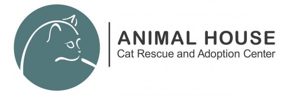 Animal House Cat Rescue and Adoption Center