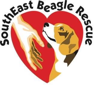 SouthEast Beagle Rescue Inc.