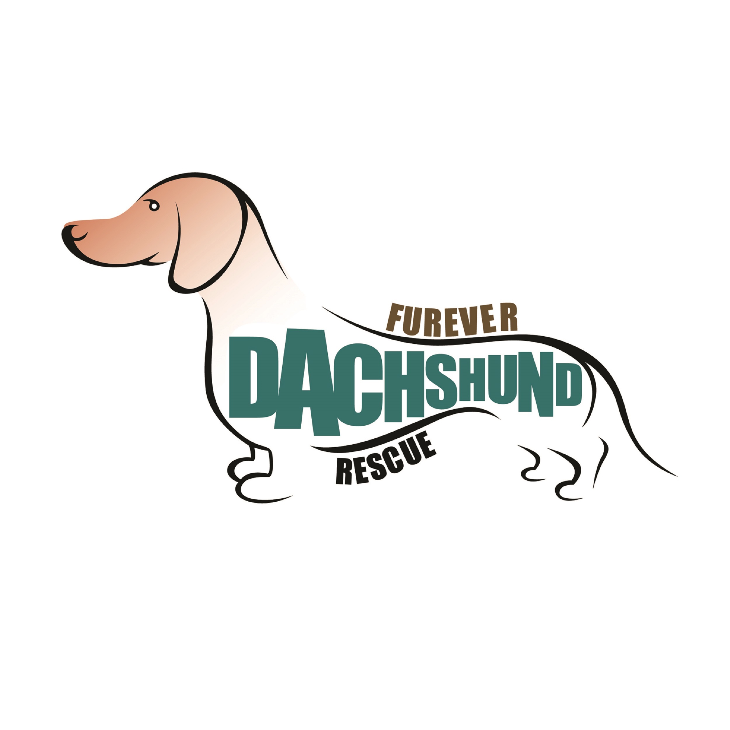 Furever Dachshund Rescue