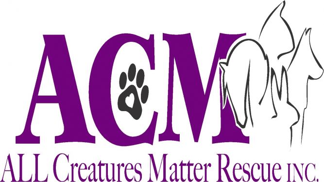 ALL Creatures Matter Rescue