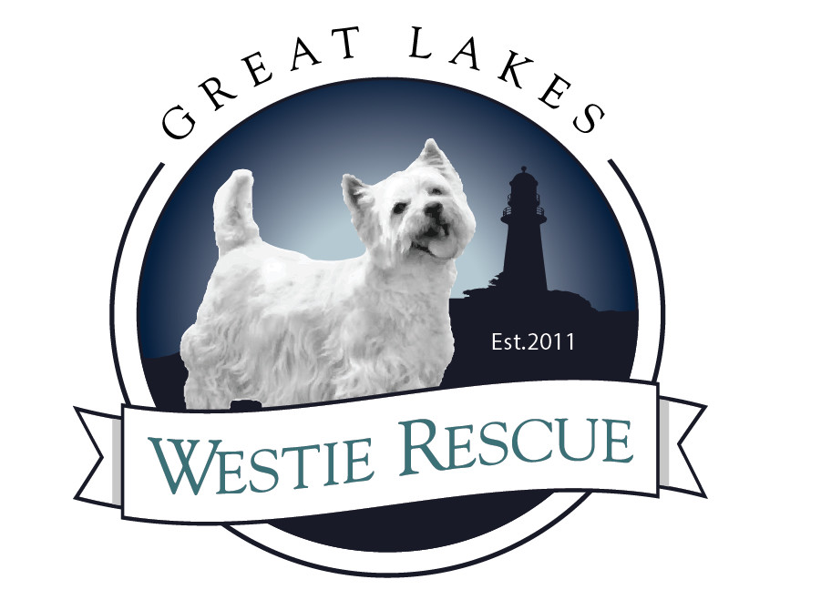 Pets For Adoption At Great Lakes Westie Rescue Inc In Garrett In Petfinder