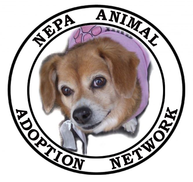 Northeast Pa. (NEPA) Animal Adoption Network Inc.