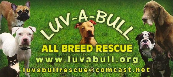 Luv-A Bull All Breed Rescue