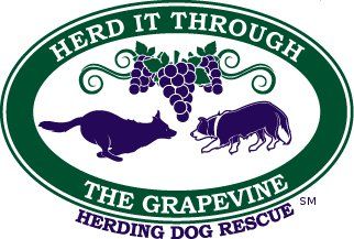 Herd It Through The Grapevine