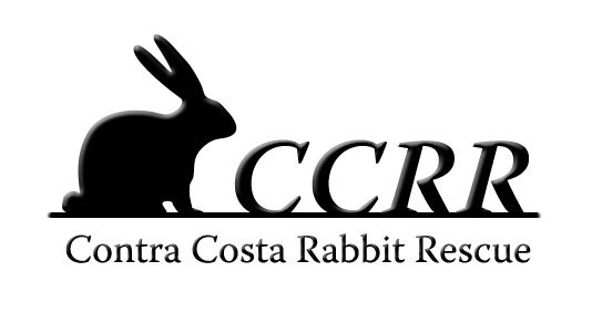 Contra Costa Rabbit Rescue