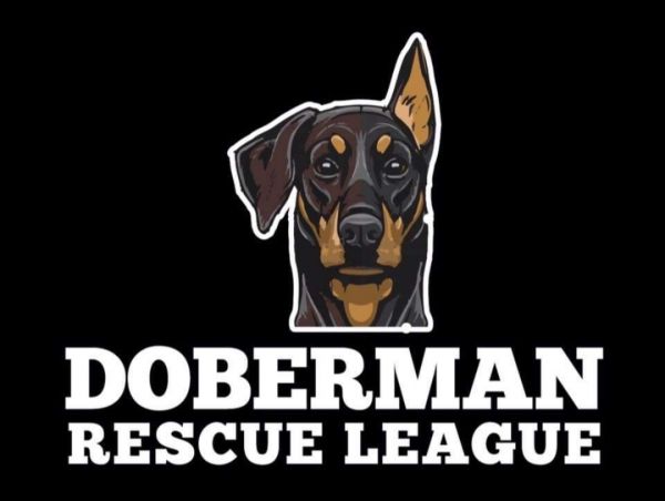Doberman Rescue League