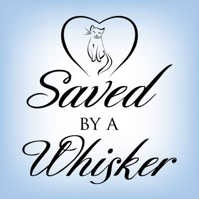 Saved By A Whisker Rescue