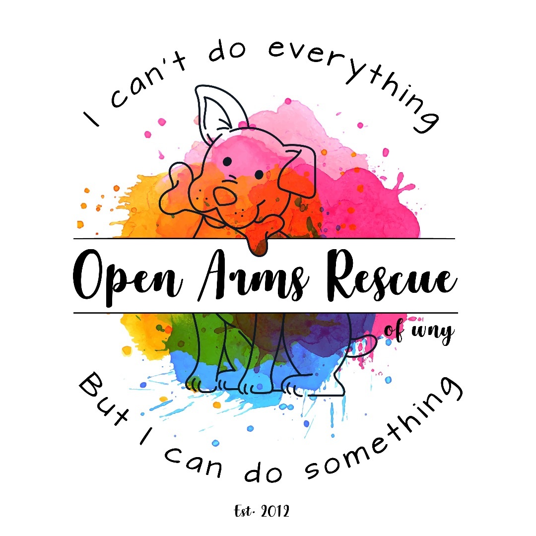 Open Arms Rescue Of WNY