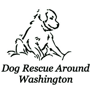 Dog Rescue Around Washington