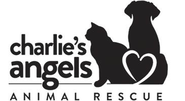Charlie's Angels Animal Rescue
