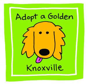 Adopt A Golden Knoxville