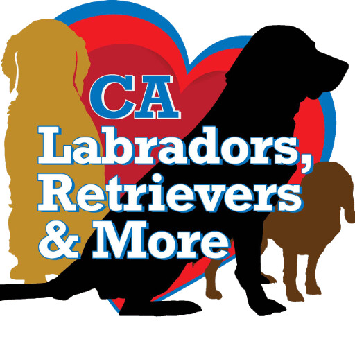 California Labradors Retrievers and More
