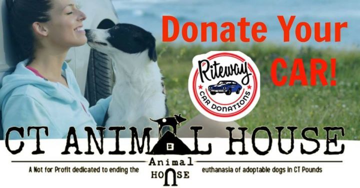 Donate Your Car to Benefit Dogs of CT Animal House