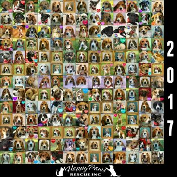 2017 Adoption Collage