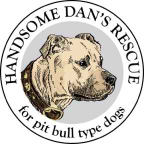 Handsome Dan's Rescue for Pit Bull Type Dogs