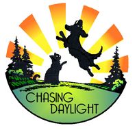 Chasing Daylight Animal Shelter