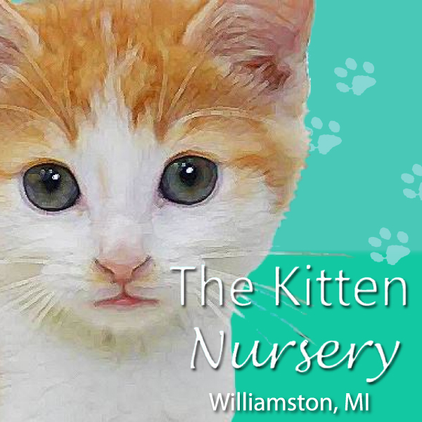 The Kitten Nursery