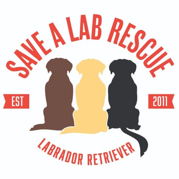 Save A Lab