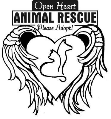 Pets for Adoption at Open Heart Animal Rescue, in ...