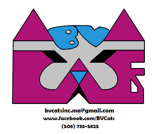 BV Cats, Inc.