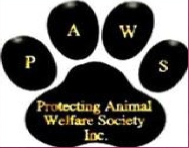 Pets For Adoption At Protecting Animal Welfare Society In Jacksonville Il Petfinder