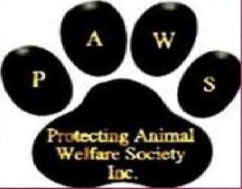 Animal best sale welfare society