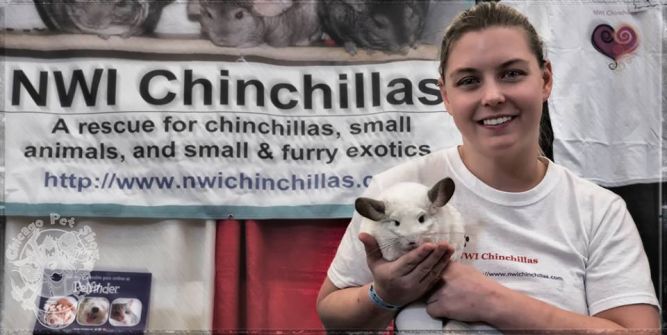 Chinchilla rescue best sale