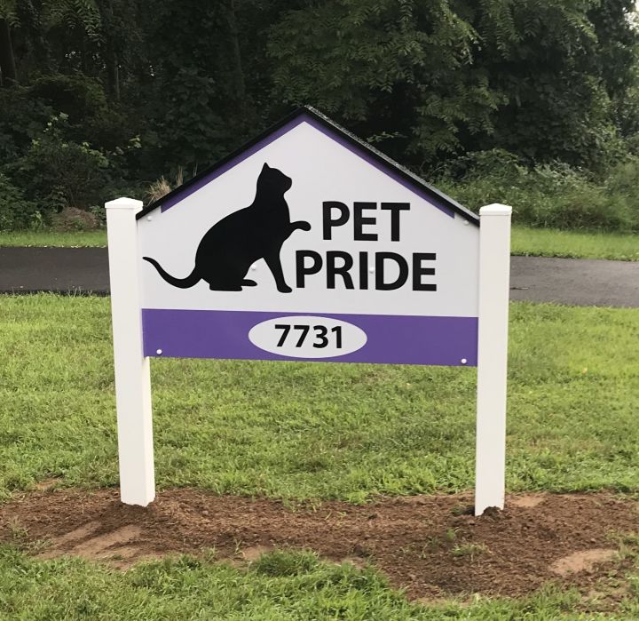 Pet Pride of New York is a no-kill, cats only, shelter