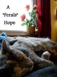 A Feral's Hope And Friends