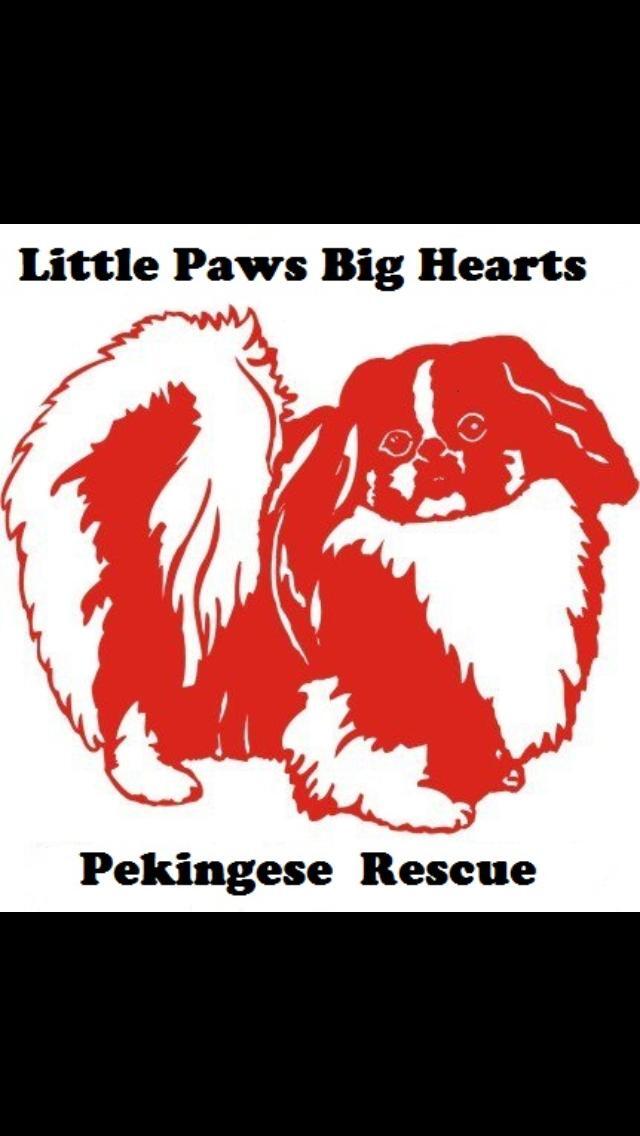 Little paws of love hot sale rescue