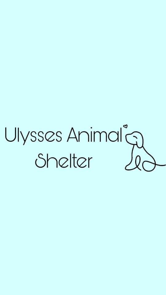 Ulysses Kansas Animal Shelter