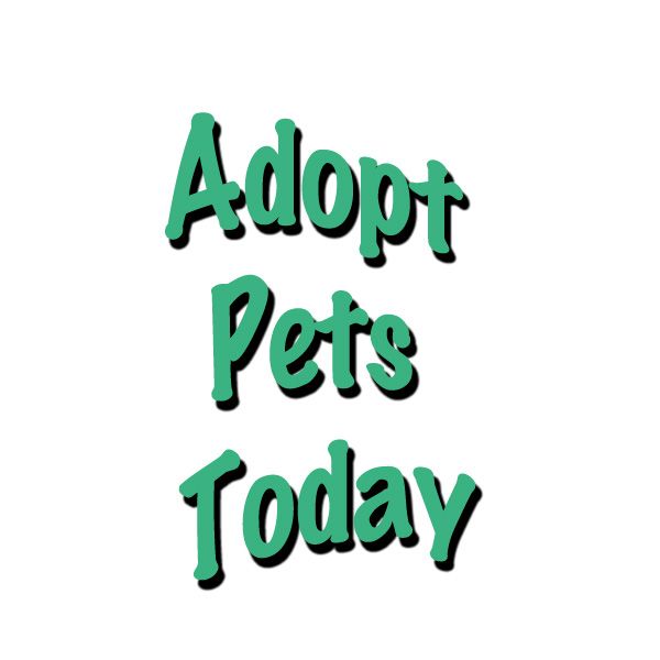 Adopt Pets Today