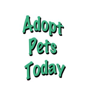 Adopt Pets Today