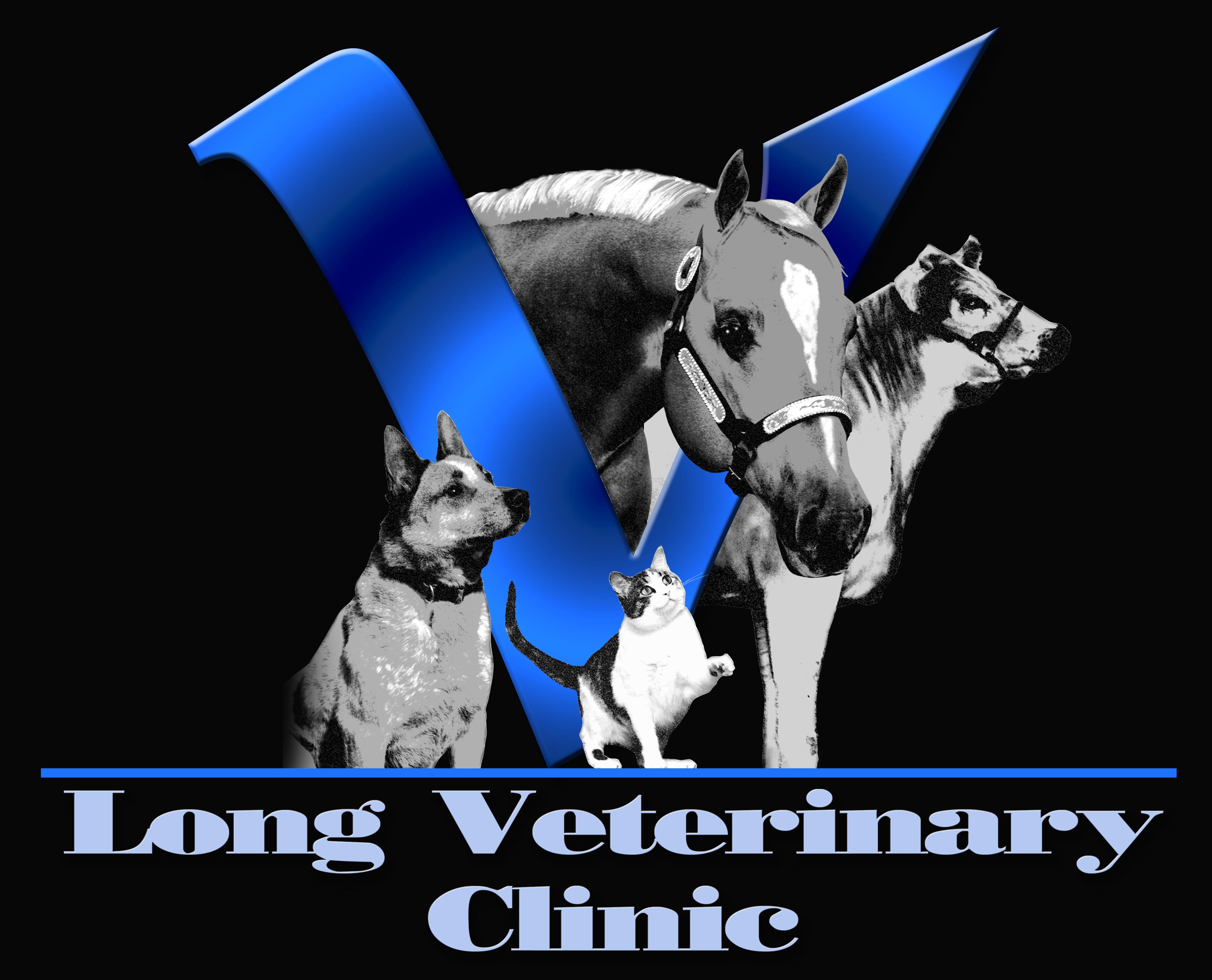 Pets for Adoption at Long Veterinary Clinic, in Kearney ...