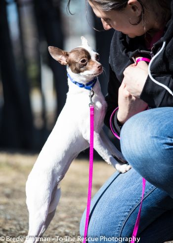 Sarah with her foster Zeus