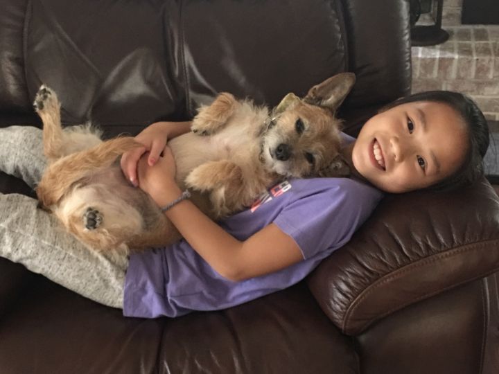 A sweet girl and her sweet pup !!!