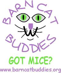 Barn Cats & Indoor Feline Friends