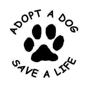 2 Many Dogs Rescue