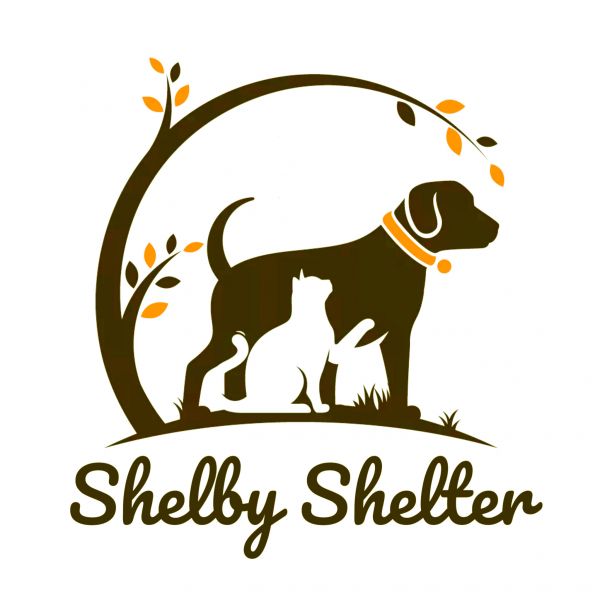 Shelby Shelter