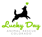 Lucky Day Animal Rescue of Colorado