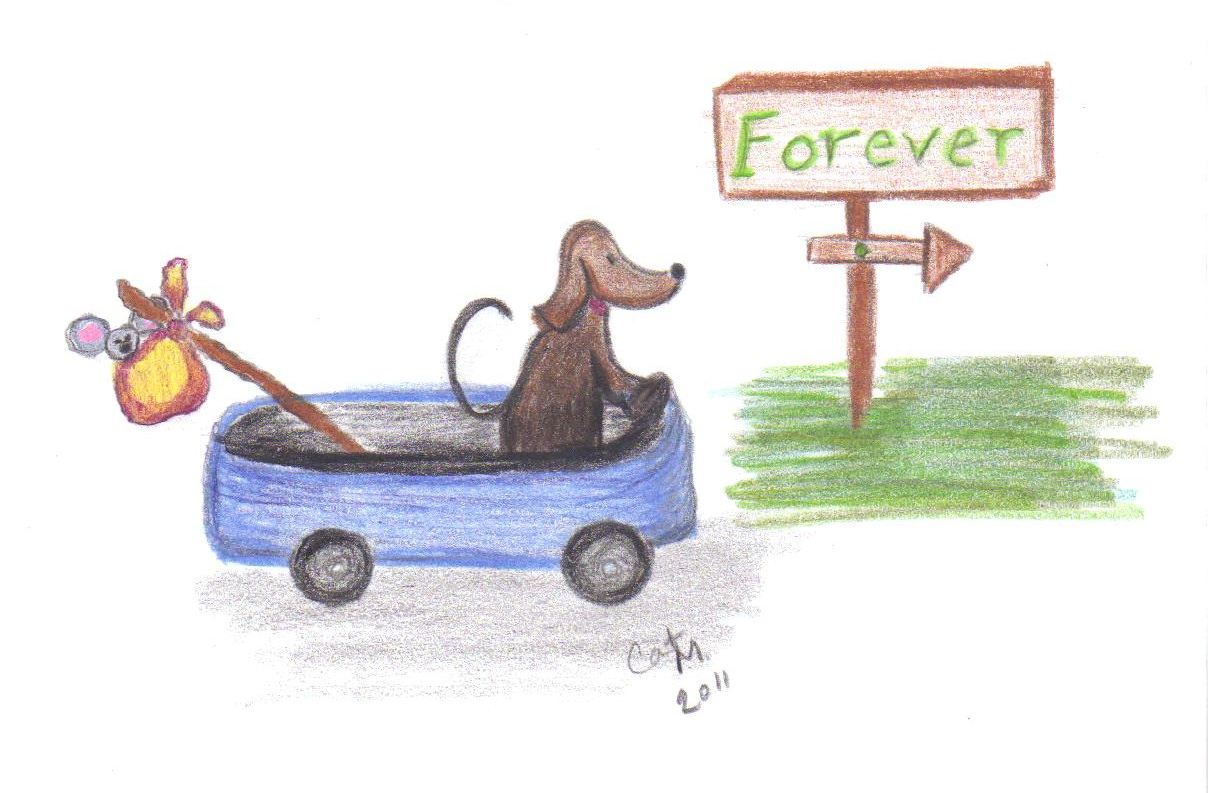 Homeless To Forever Foundation - Monrovia