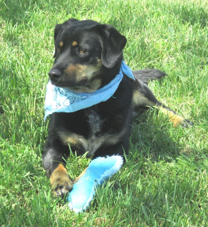 Jed enjoying his toy