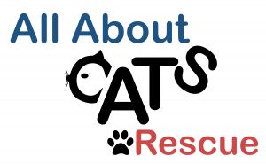 All About Cats Rescue, Inc