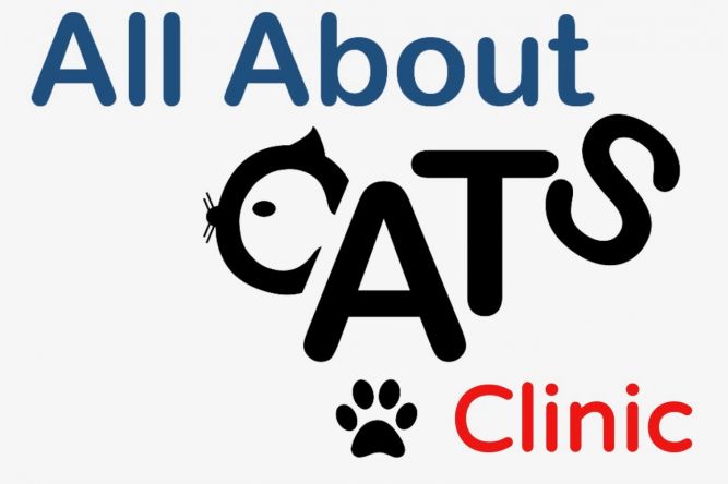 All About Cats Rescue, Inc