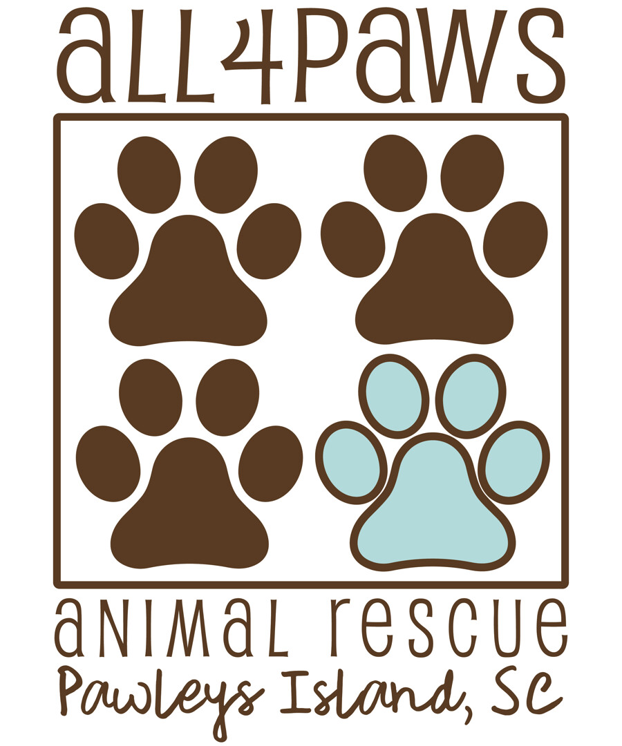 4 paws 2024 animal rescue