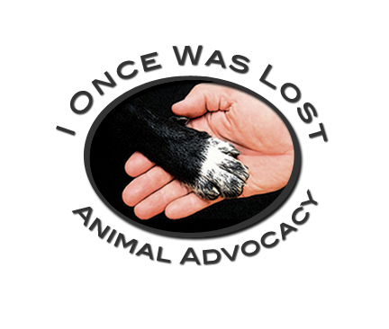 I Once Was Lost Animal Advocacy
